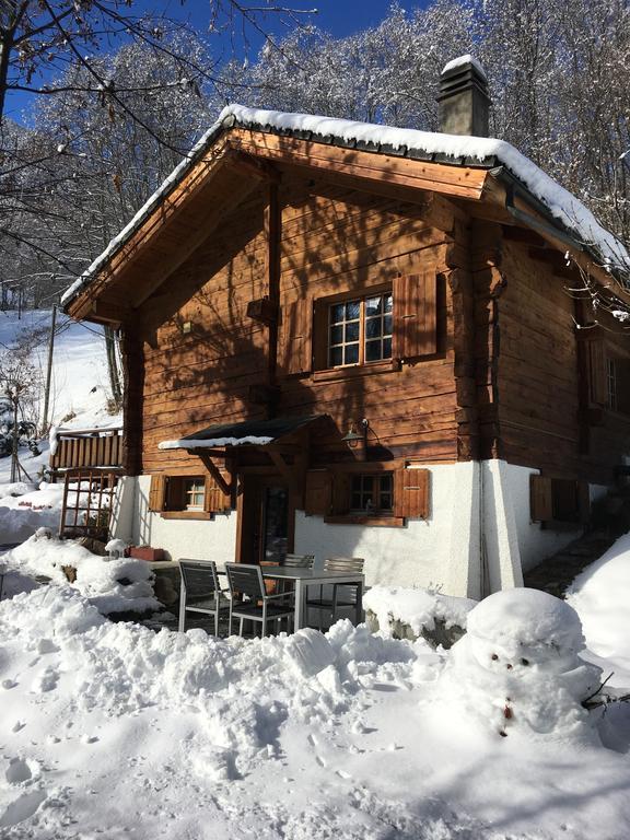 Chalet Les Rindes Nendaz Eksteriør billede